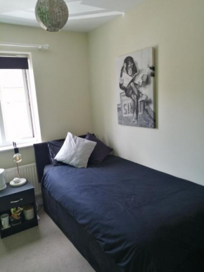 59 Halstead - Gorgeous single bedroom with private bathroom